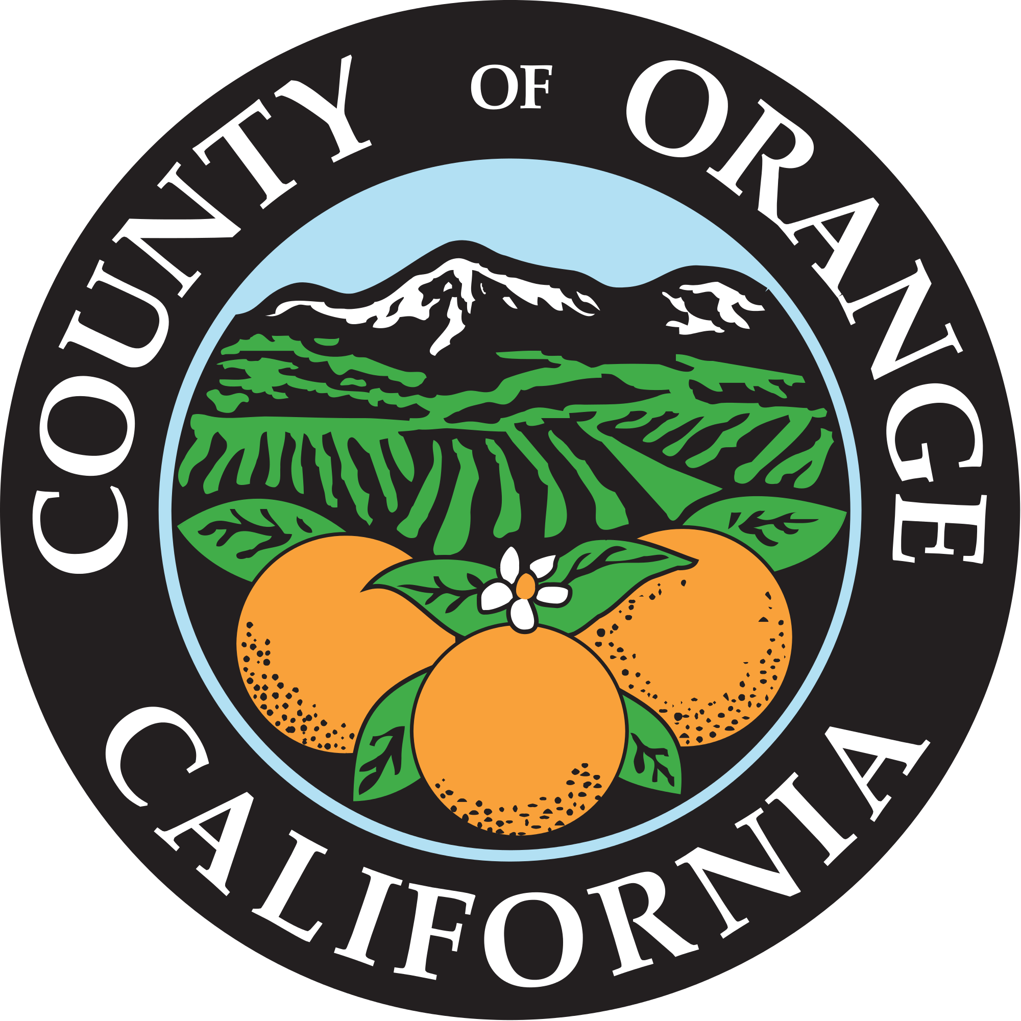 Orange County Bail Bonds DIRECT 8008808380